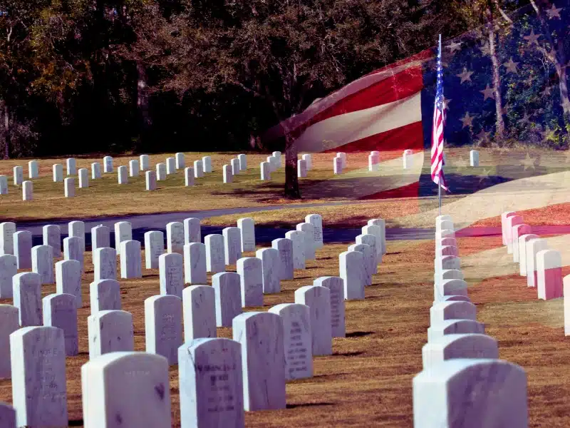 Tribute to all fallen soldiers.